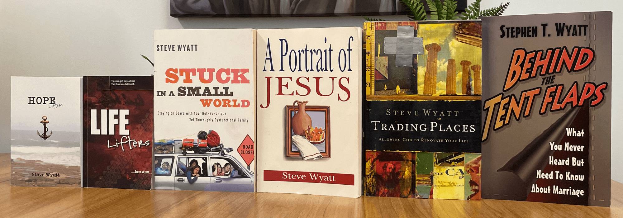 steve wyatt books